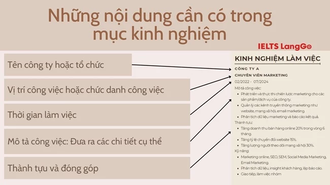 Những nội dung cần có khi viết kinh nghiệm làm việc trong CV