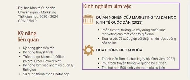 Kinh nghiệm làm việc và hoạt động ngoại khóa