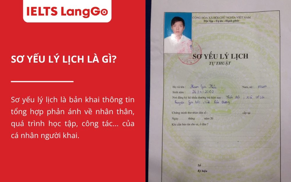 TOP 7 MẪU SƠ YẾU LÝ LỊCH ĐƠN GIẢN, DỄ ỨNG DỤNG MỌI NGÀNH NGHỀ