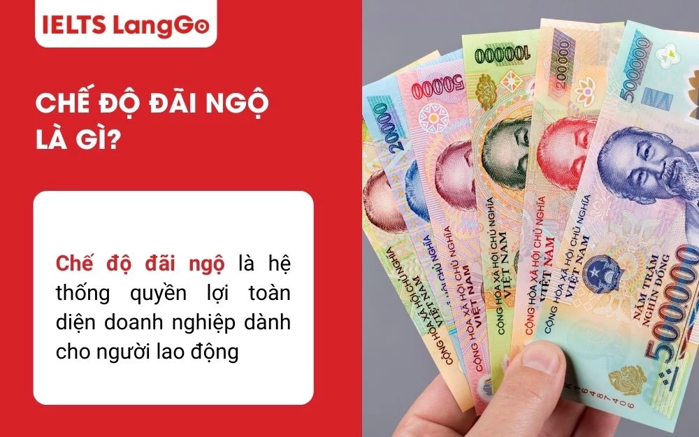 Chế độ đãi ngộ là hệ thống quyền lợi toàn diện doanh nghiệp dành cho người lao động