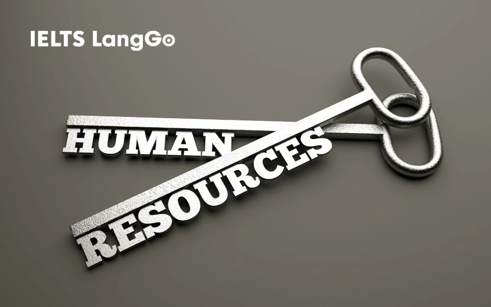HR chịu trách nhiệm quản lý và điều phối toàn bộ vấn đề liên quan đến con người