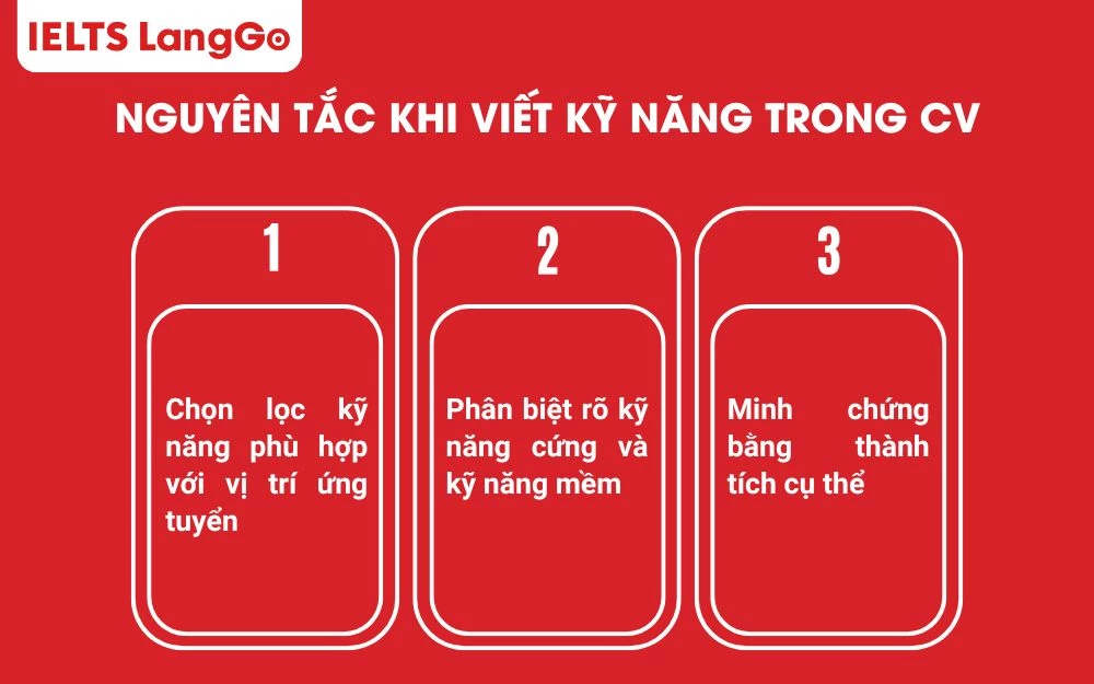 Phần kỹ năng trong CV cần được trình bày khoa học làm điểm nhấn