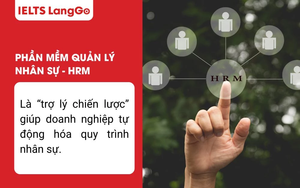 Phần mềm quản lý nhân sự giúp lưu trữ, phân tích, theo dõi và ra quyết định dựa trên báo cáo thời gian thực