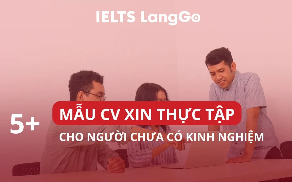 TOP 5+ MẪU CV XIN THỰC TẬP CHUẨN CHO NGƯỜI CHƯA CÓ KINH NGHIỆM