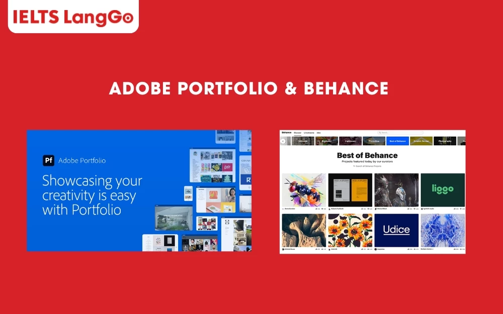 Adobe Portfolio & Behance phù hợp cho ngành thiết kế