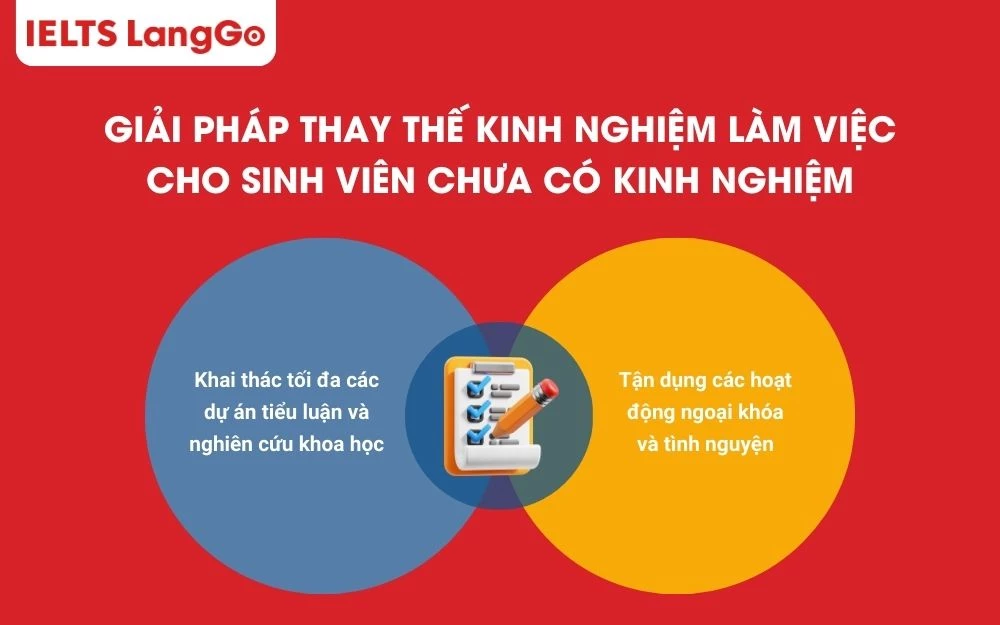 Bí kíp viết phần kinh nghiệm làm việc khi sinh viên không có kinh