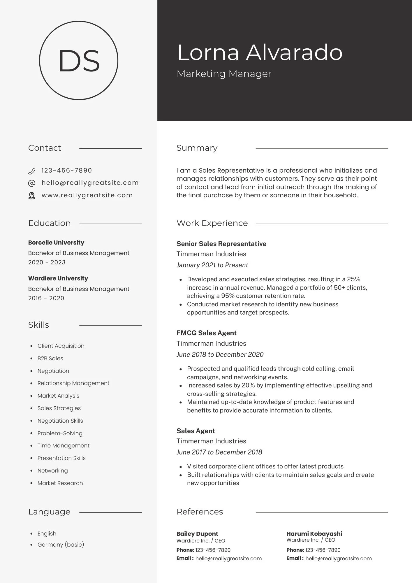 Mẫu CV đáp ứng các tiêu chuẩn hồ sơ cơ bản