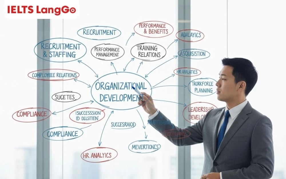 Thuật ngữ tiếng Anh quan trọng trong Quản trị Nhân sự dành cho người đi làm