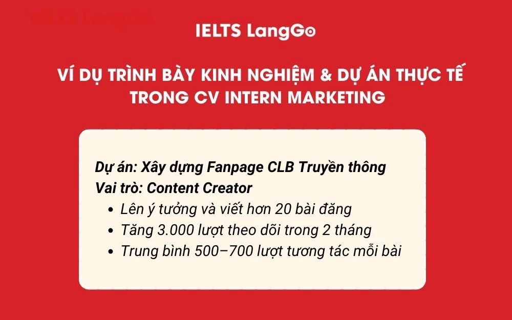 Mẫu trình bày kinh nghiệm & dự án thực tế trong CV Intern Marketing