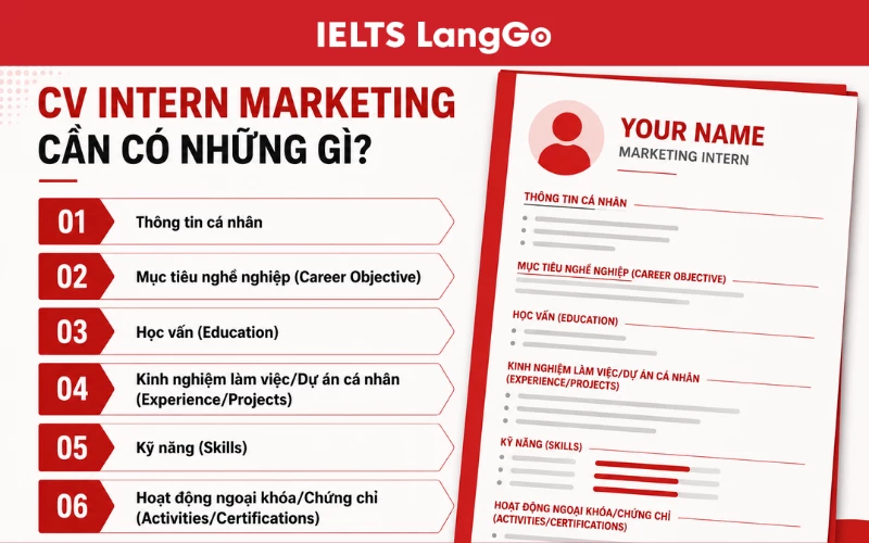 CV Intern Marketing cần có những gì?